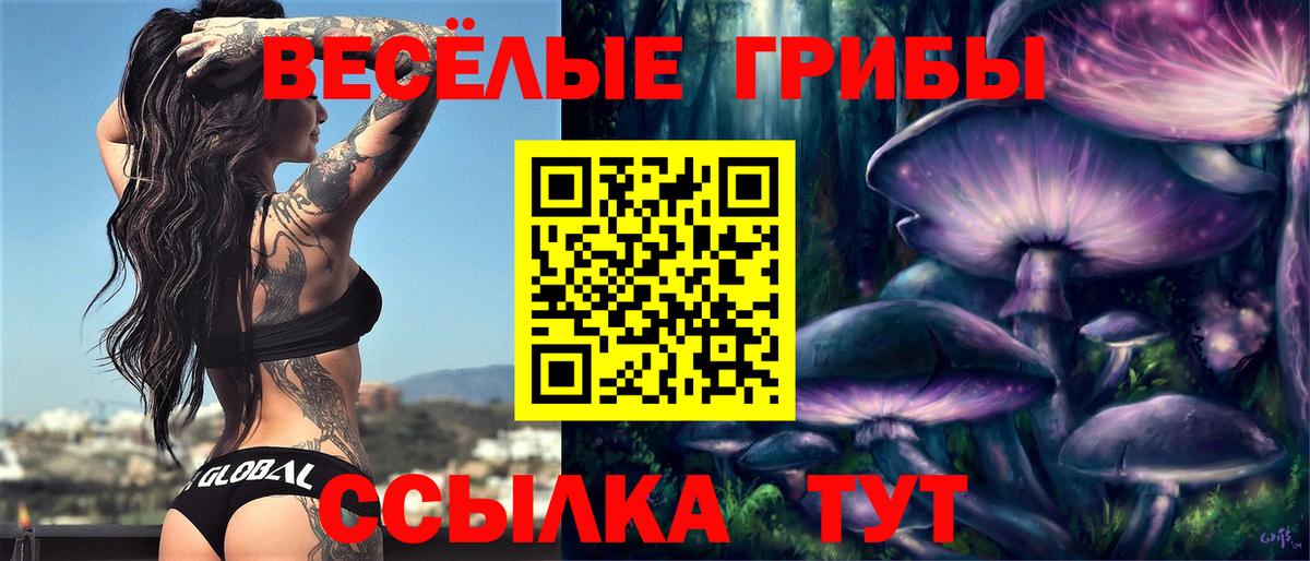 Псилоцибиновые грибы GOLDEN TEACHER Ивантеевка